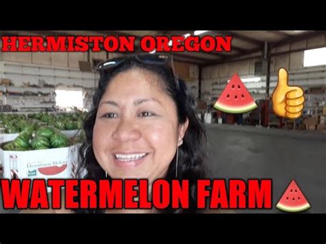 WATERMELON FARM (Hermiston Oregon)🍉🍉 - YouTube