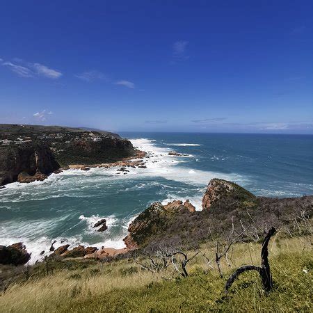 Featherbed Nature Reserve (Knysna) - 2020 All You Need to Know BEFORE You Go (with Photos ...