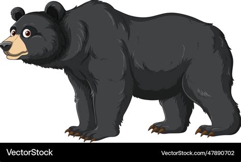 Cartoon black bear Royalty Free Vector Image - VectorStock