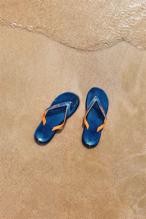 Images Gratuites : chaussure, bleu cobalt, le sable, bleu électrique ...