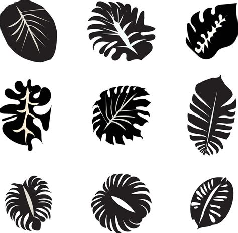 leaf silhouettes vector 25249907 Vector Art at Vecteezy