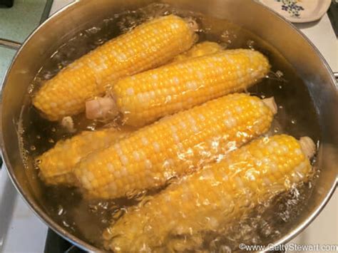 boiling corn - GettyStewart.com