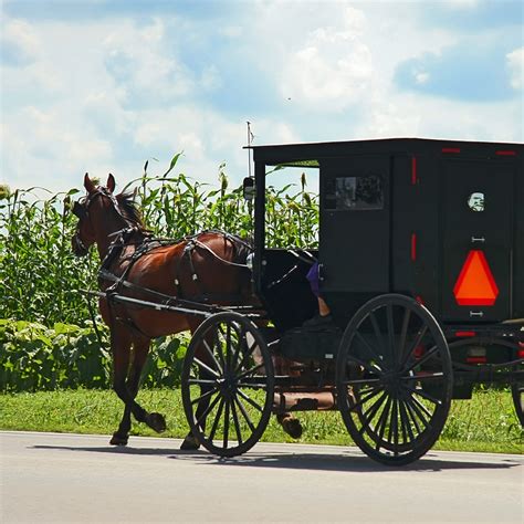 How to Plan Your Amish Country Experience – Bird-in-Hand