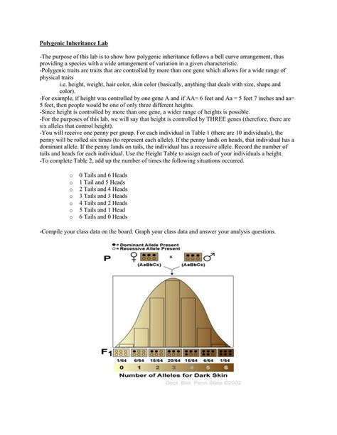 9. Polygenic Inheritance Lab