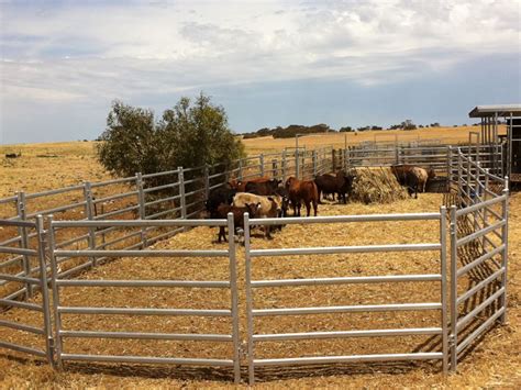 Livestock Yard Fence - ANPING DANXIANG WIRE MESH PRODUCTS CO.,LTD