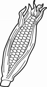 Ear Of Corn Clip Art sketch template