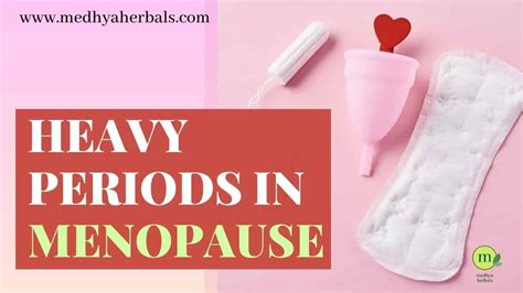 A Doctor's Guide to Stop Heavy Periods in Menopause