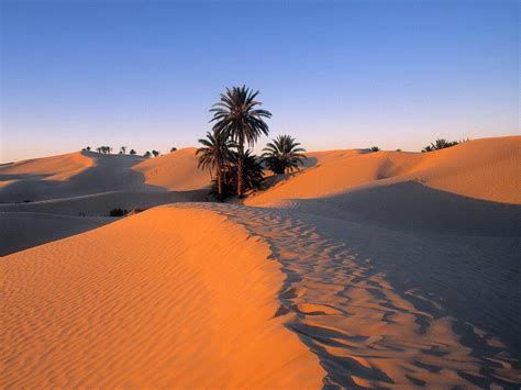 The Sahara Desert - dynamic deserts