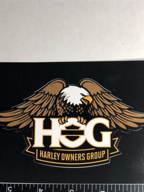 Harley Davidson Motorcycle “ HOG” Harley Ownership Group Sticker Decal | eBay