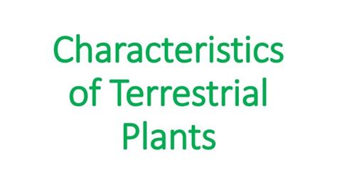 Characteristics of terrestrial plants