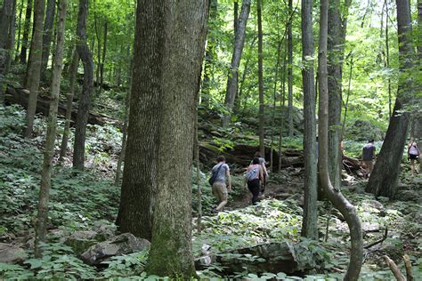 Outdoors | Virginia's New River Valley