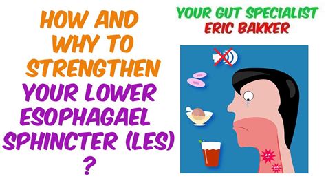 Your Lower Esophageal Sphincter: What You Need To Know - YeastInfection.Org - Your Source for ...