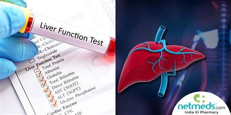 Liver Function Tests: Know The Types, How It Is Done And What To Expect