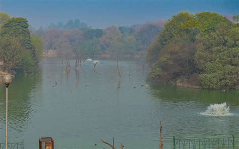 A Mesmerizing View Of Hauz Khas Lake And Garden From The Hauz Khas Fort At Hauz Khas Village At ...