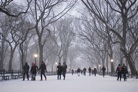 NYC ♥ NYC: Snowy Central Park