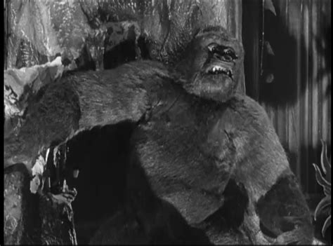 RETRO DISCOVERY PAGE!: MIGHTY JOE YOUNG (1949)