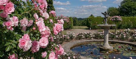 Visit the National Trust’s Emmetts Garden, an interesting hillside garden with year-round ...