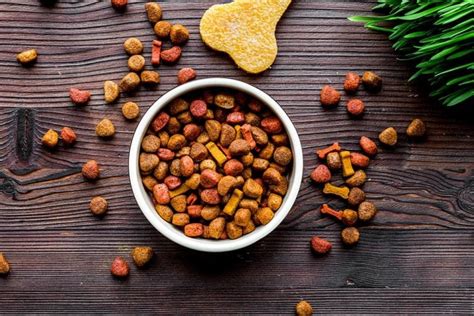 How Do I Add Grain to a Grain-Free Dog Food? Vet-Approved Tips | Hepper