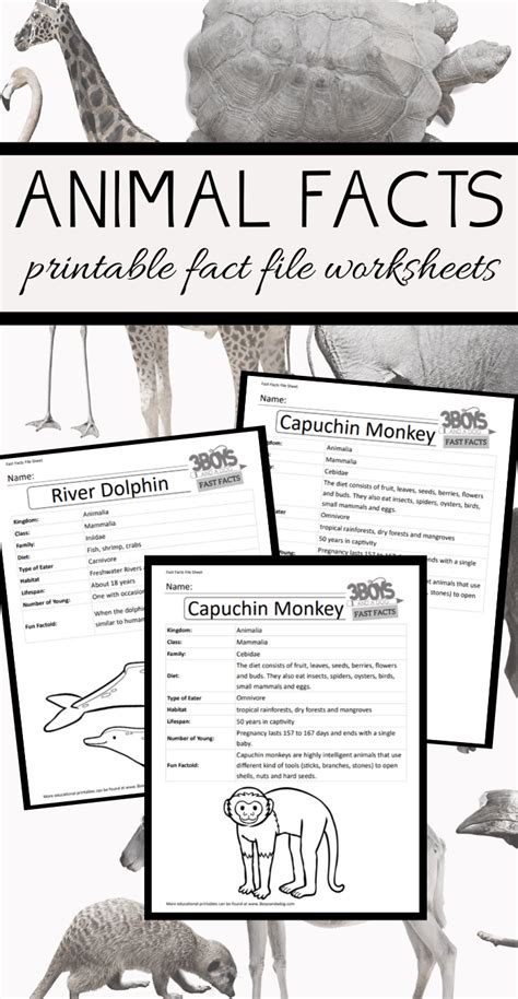 Educational Animal Fact Sheets for Kids: Learn & Explore