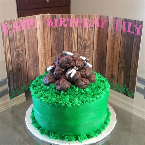 Horse Poop Cake - CakeCentral.com