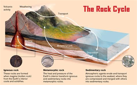 The Rock Cycle