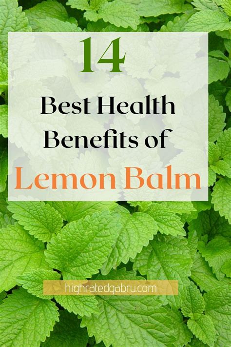 14 Ultimate Benefits of Lemon Balm You Should Know in 2021 | Lemon balm, Lemon benefits, Lemon ...