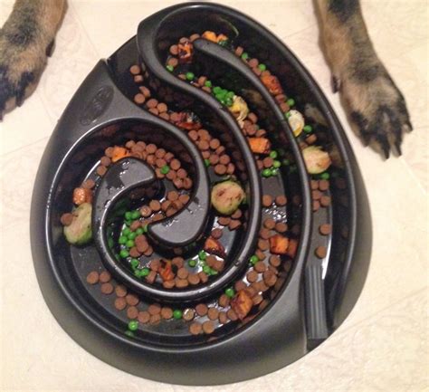 This Food Maze Dog Bowl Keeps Your Dog From Eating Too Fast