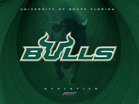 USF Wallpapers - Wallpaper Cave