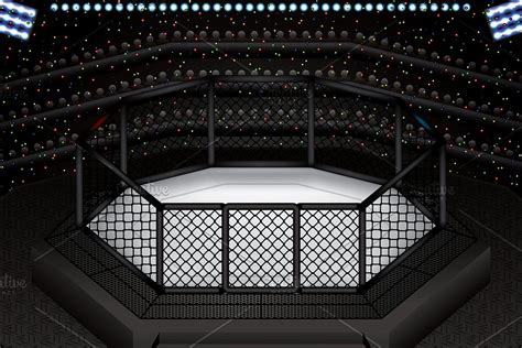 MMA octagon cage | Mma, Octagon, Cage