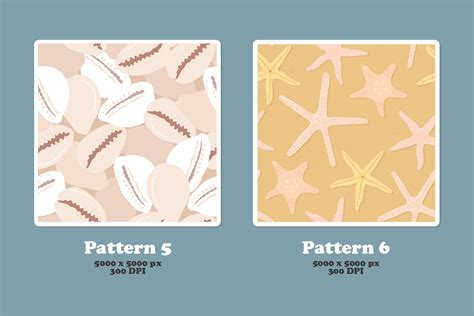 Seashell Collection: Graphics & Patterns :: Behance