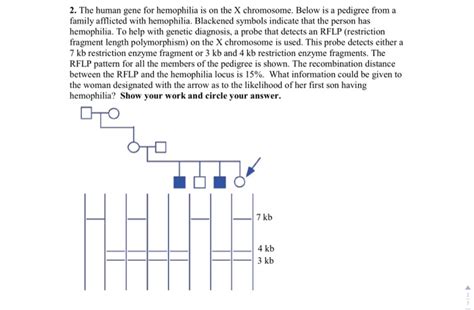 Solved The human gene for hemophilia is on the X chromosome. | Chegg.com