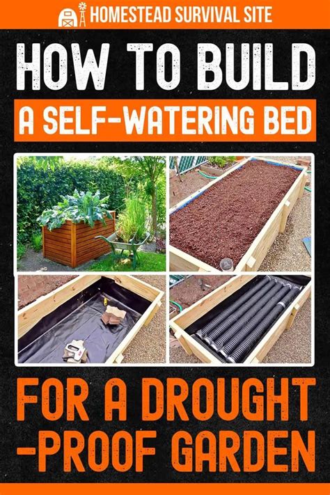 How to Build a Self-Watering "Wicking Bed" for a Drought-Proof Garden in 2023 | Self watering ...