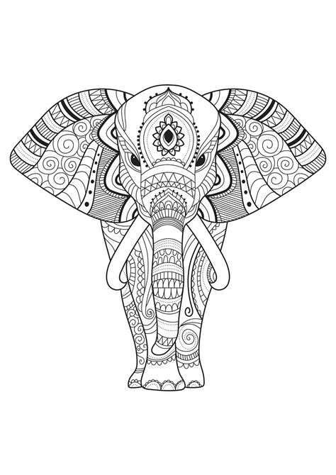 Elephant and motifs - Elephant Coloring Pages for Adults