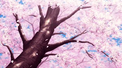 Cherry Blossom Tree Gif | [+] CHERRY BLOSSOM