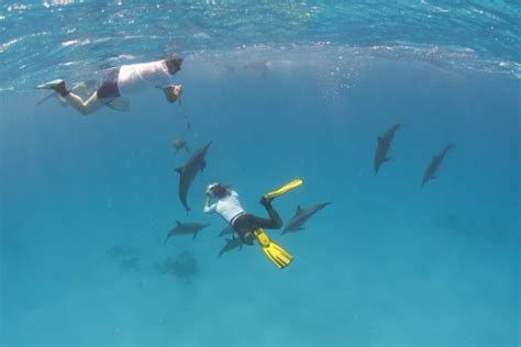 Snorkeling Tours To Do | Activities on Oahu Hawaii