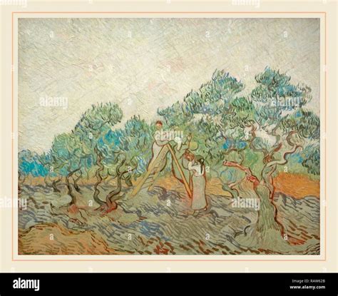 Vincent van Gogh, Dutch (1853-1890), The Olive Orchard, 1889, oil on ...