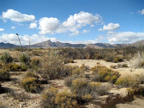 Chihuahuan Desert, New Mexico : Photos, Diagrams & Topos : SummitPost