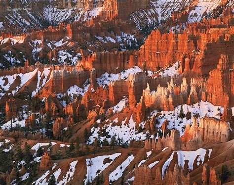 Winter Hoodoos | Colorado Plateau | Joseph Kayne Photography