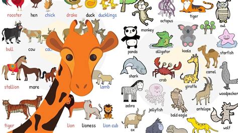 Nombres de animales que puedes ponerle a tus hijos