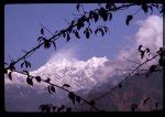 [Mount Kānchenjunga, third highest mountain in the world, seen through ...