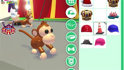 New monkey pets in adopt me! - YouTube