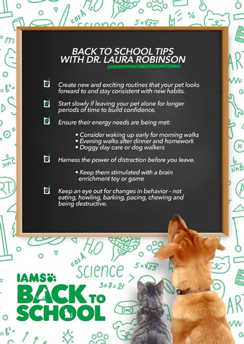 Is Back-To-School Season Worrying Your Pet? Follow These Helpful Tips ...