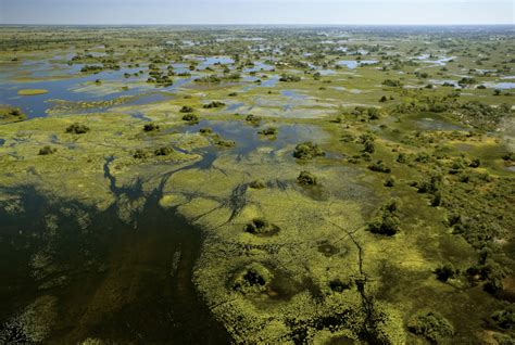 Oil and Gas Drilling in the Okavango Region | gogel