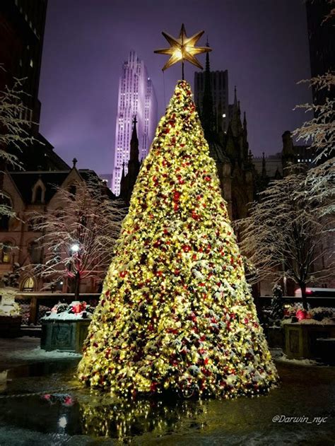 Christmas Tree Lotte New York Palace Hotel | Kerstboom, Kerst