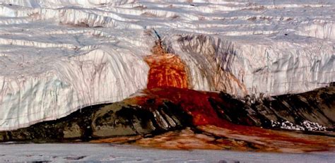 Mystery Of Antarctica's Blood Falls Is Finally Solved