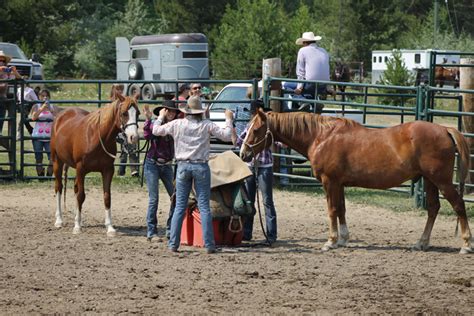 Packhorse race 2014 (3) – The Rocky Mountain Goat