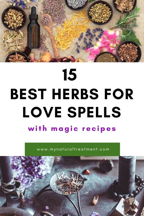 15 Best Herbs for Love Spells and Magic Recipes DIY 3 Wicca Recipes ...