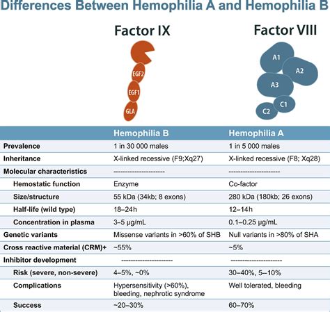 Hemophilia B (Factor IX Deficiency) - Hematology/Oncology Clinics