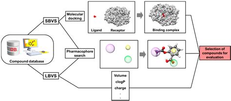 Molecular Docking