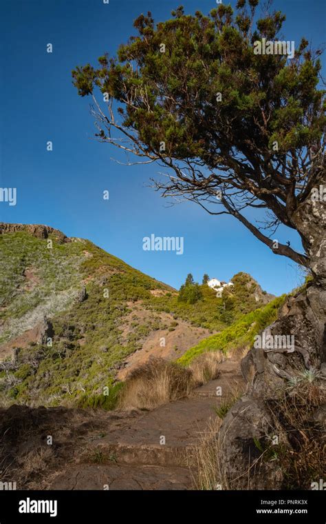 Pico Ruivo 2018 - Madeira Island Hiking sunrise Stock Photo - Alamy